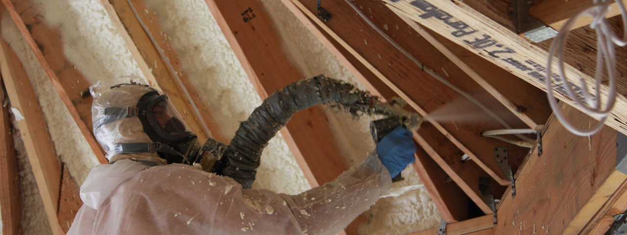 Berkeley California Attic Insulation Spray Foam
